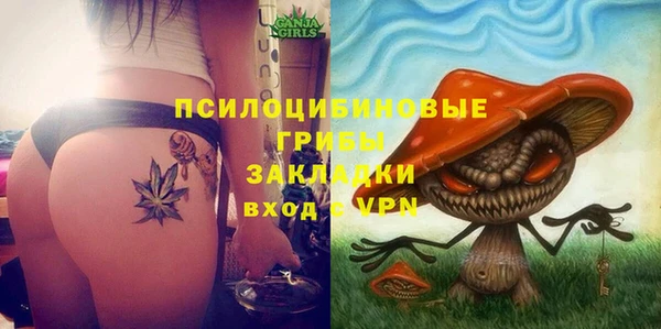 мдпв Балахна